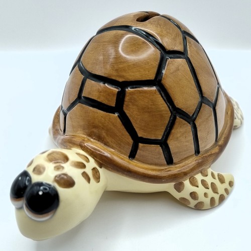 Schildkröte - schildkröte,