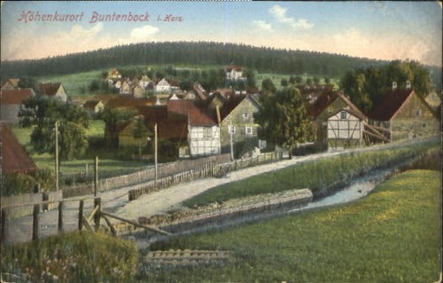 Buntenbock ungelaufen ca - ,