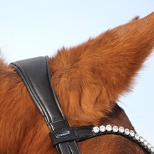 Euroriding Trense Sensitiv