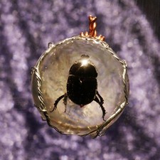 Anhänger mit Käfer in Epoxidharz