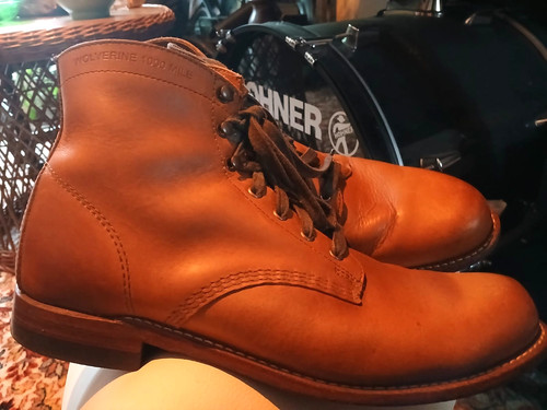 Wolverine 1000 mile usa - wolverine,