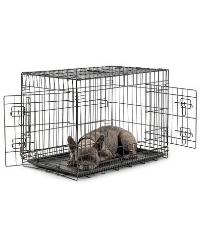 Ware lionto - b-ware:,