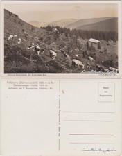 Ansichtskarte Feldberg