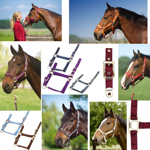 Equi theme nylonhalfter - equi-theme,