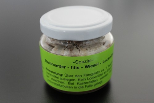 100g marder waschbär - waschbär, iltis