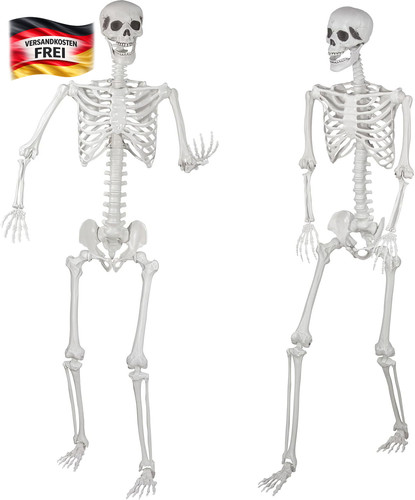 Lebendiges halloween skelett - lebendiges,
