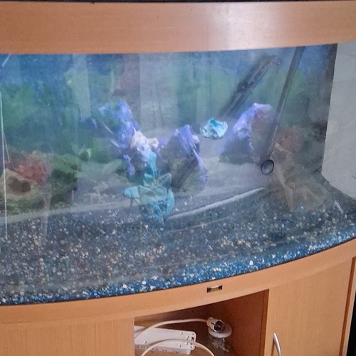 Komplettaquarium glasbecken - komplettaquarium,