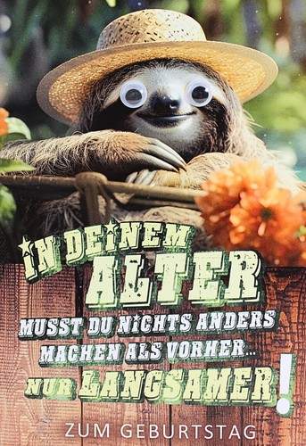 Geburtstagskarte faultier - b6,