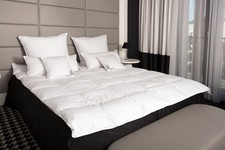 HS85 WINTER Daunendecke