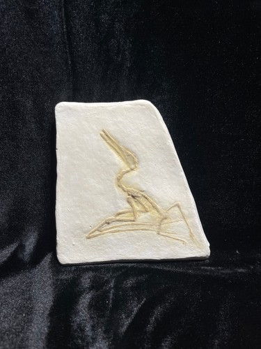 Pterodactylus elegans fossil - pterodactylus,