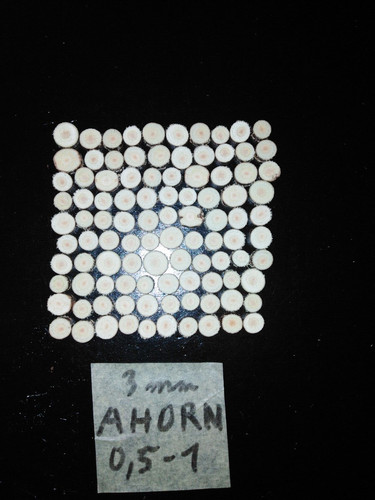 100 baumscheiben ahorn - 100, 0,5