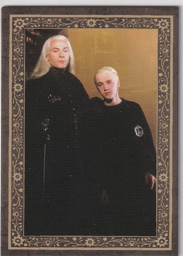 Panini harry potter - harry, evolution