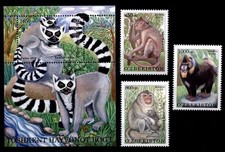 Affen aus Zoo von Taschkent