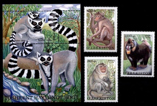Affen aus zoo von taschkent - aus,