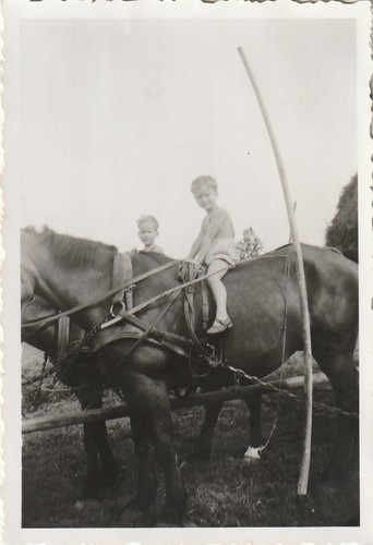 Vintage foto jungen - foto,