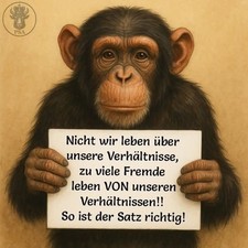 Joolz Day+ Kinderwagen und