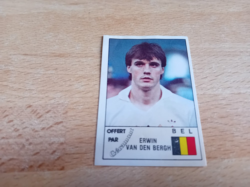 Panini bild euro - panini, 84