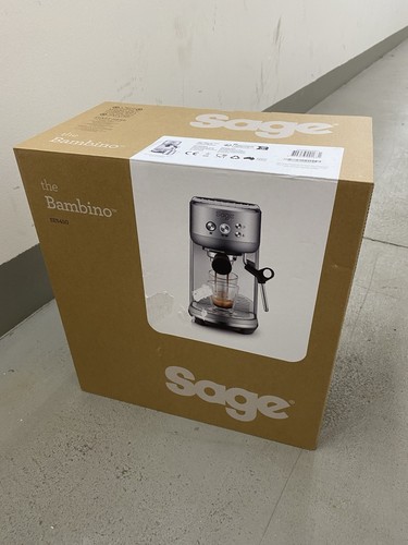 Sage the bambino - sage,