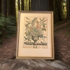 Vintage Engraving January of