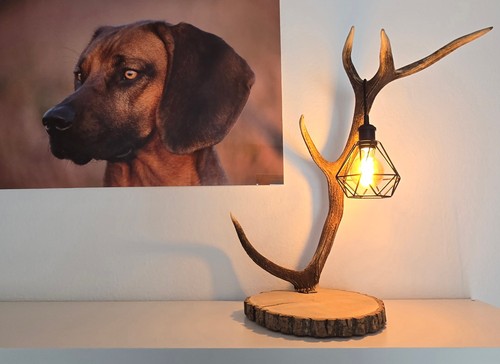 Rothirsch stehlampe e27 - stehlampe,