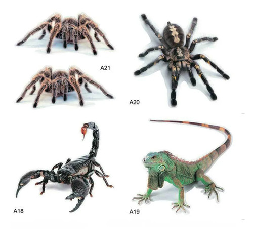 Aufkleber spinne skorpion - spinne,,