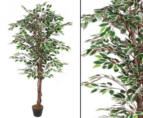 Ficus benjamini kunstbaum mit - benjamini,
