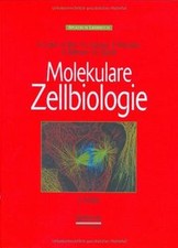 Molekulare Zellbiologie von Lodish, Harvey, Berk, Arnold | Buch | Zustand gut