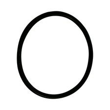 Riemen Seitenbürste Oring