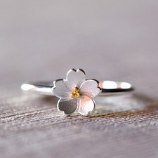Ring Silberring mit S925