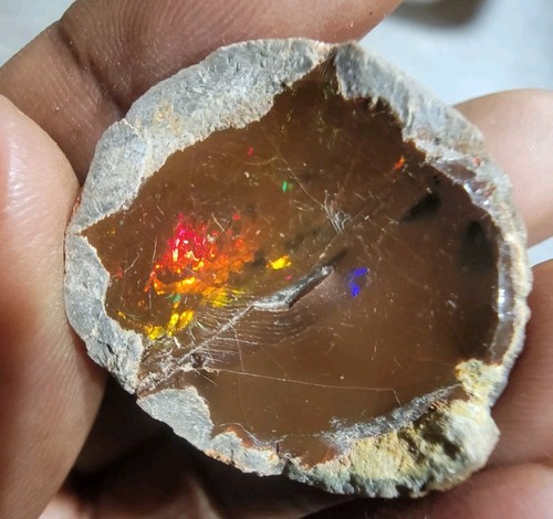 äthiopische multicolour - Äthiopische,
