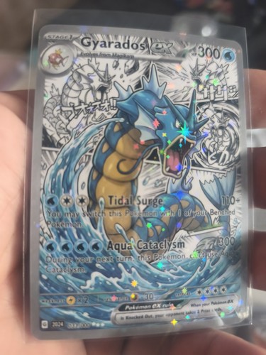 Pokemon ccg garados manga - ccg,