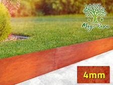 Rasenkante Corten Stahl