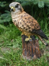 Falke adler deko figur - adler,