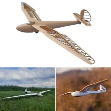 Gö-3 Minimoa Modellflugzeug