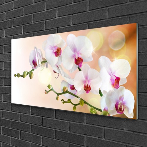 Glasbilder 100x50 wandbild - 100x50,