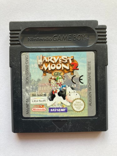Harvest moon game - game, boy