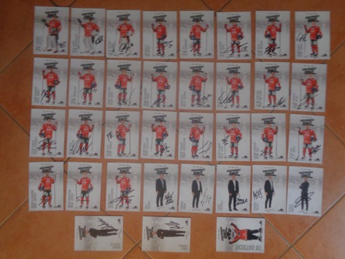 Augsburg panther eishockey - panther,