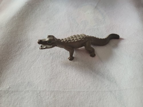 Tier alligator - tier,
