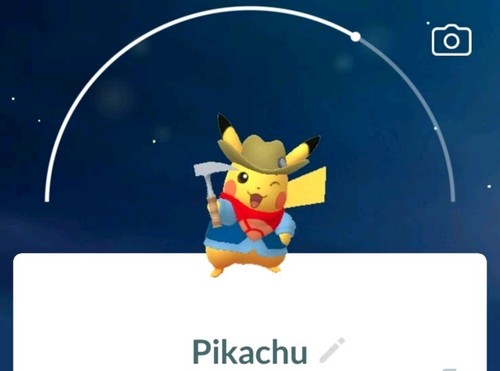 Pokemon bagger - pokemon, go/bagger