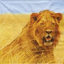 3 Servietten ~ Exotische Tiere der Savanne, ein Löwe ~ 33x33
