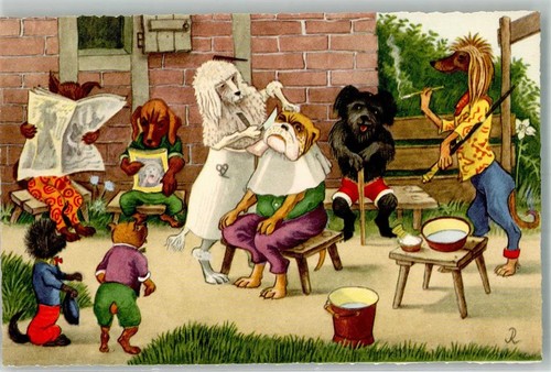 10733393 6 hundefriseur - 10733393,