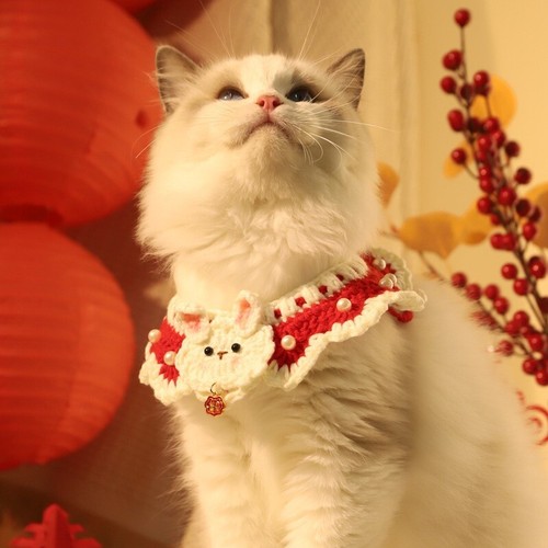 Katzen hundehalsband - katzen-/hundehalsband,