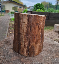 DEKO Baumstamm Holz Klotz KASTANIE Höhe 14 cm Durchmesser 14 cm Baumscheibe
