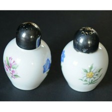 Thomas Germany Rosenthal 1. Wahl 2 antike Streuer Salz Pfeffer Blumen zeitlos