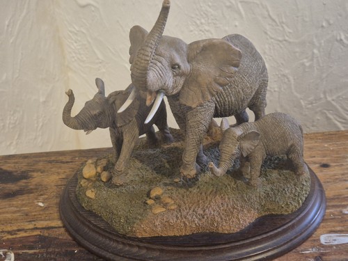 Country artists ca523 elefant - country,