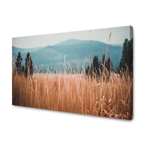 Canvas leinwandbilder xxl - leinwandbilder,