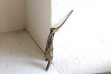 Schwemmholz Treibholz Skulptur - sehr schön -  L 20  cm Reiher Fischreiher