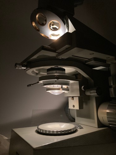Zeiss ergaval - zeiss,