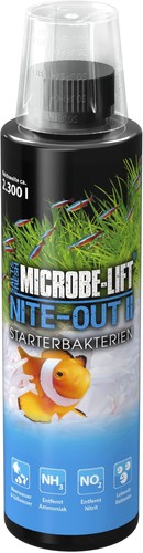 Arka nite out - arka, ii