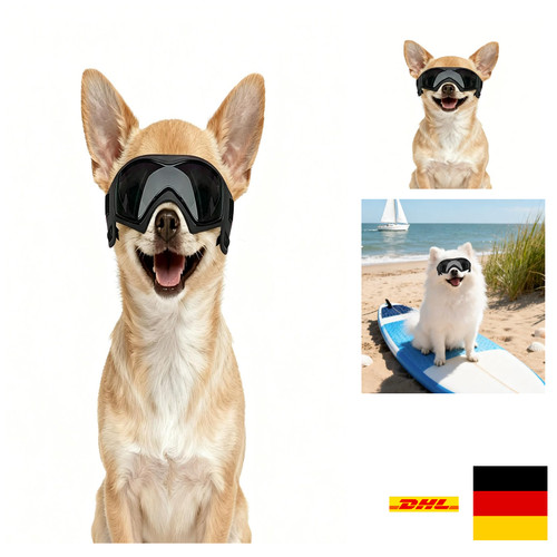 Hundebrille schutz - hundebrille, uv-schutz